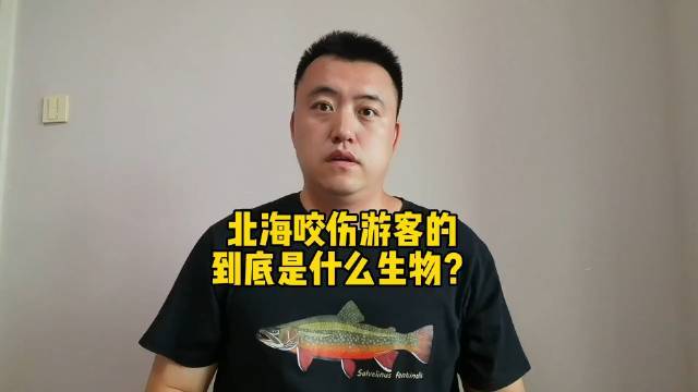 科普博主称北海伤人可能是公牛真鲨