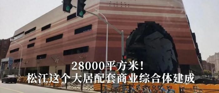 松江一案例入选2023民生领域案件查办“铁拳”行动第五批典型案例