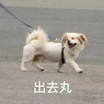 沈阳最大规模无人机表演上演