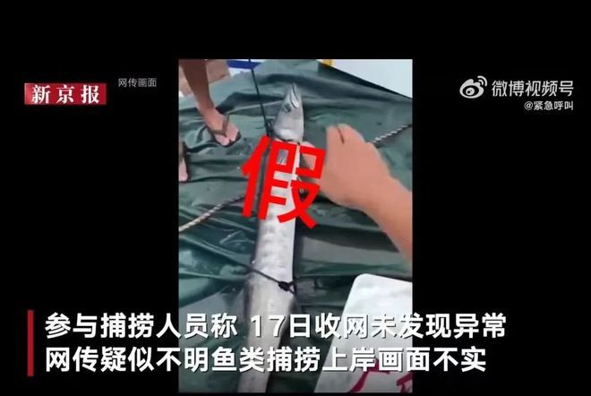 专家北海咬伤游客鱼类可能是魣类