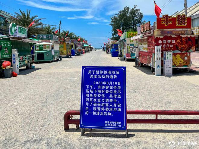 专家北海咬伤游客鱼类可能是魣类