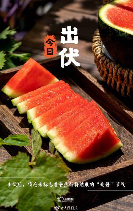 超长三伏天终于结束了，你感受到了吗？

