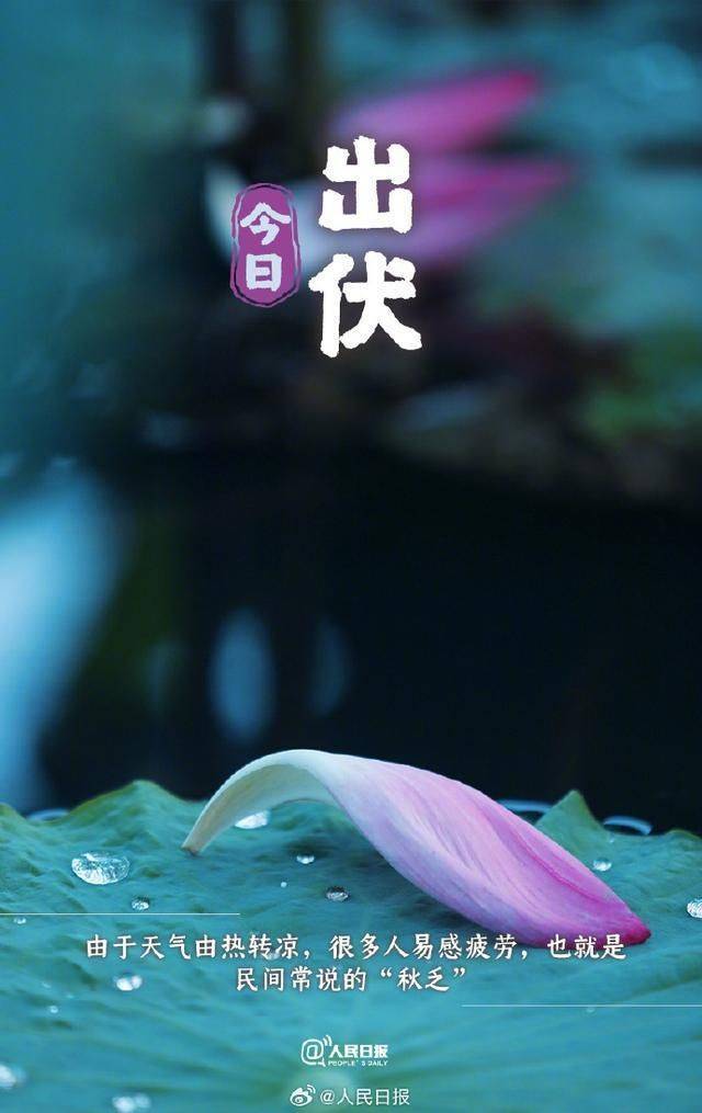 超长三伏天结束