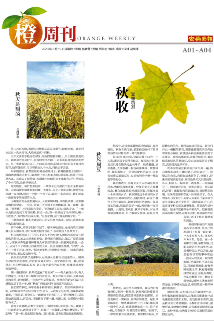 西班牙首夺女足世界杯冠军