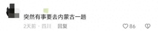 海东青骑警队太帅了
