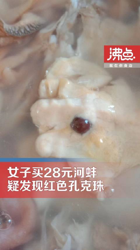 买河蚌现红色孔克珠