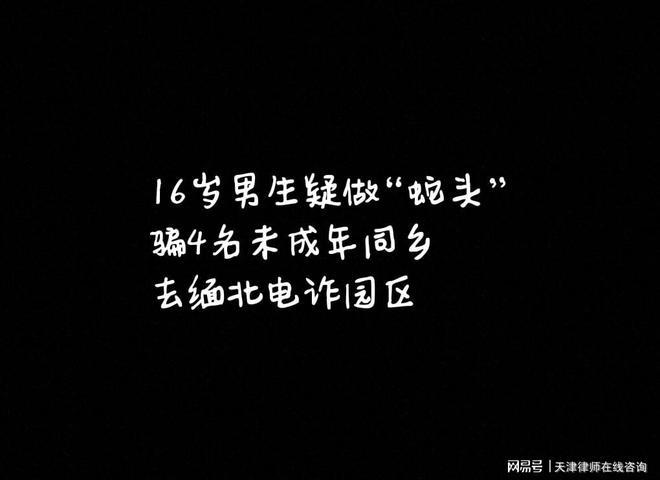 16岁男孩疑做蛇头骗4名同乡