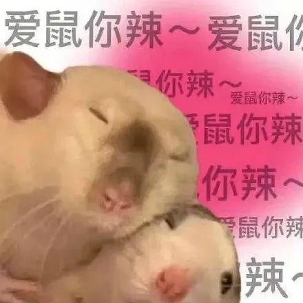 六年没陪老婆过七夕！一男子居然这样道歉