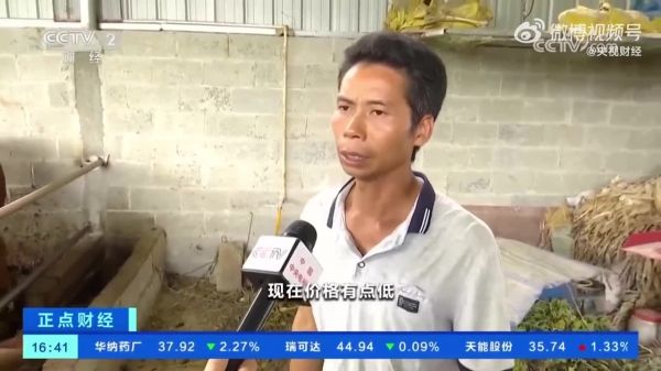 国产牛肉价格过山车式下跌