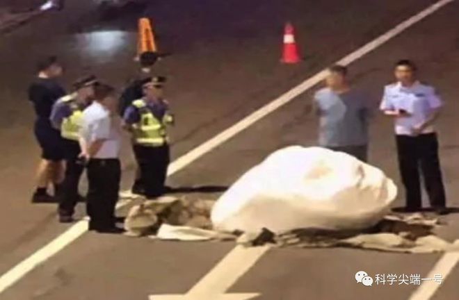 突发！洛阳王城桥下发现白色巨型不明物体，来自天空，究竟是啥？