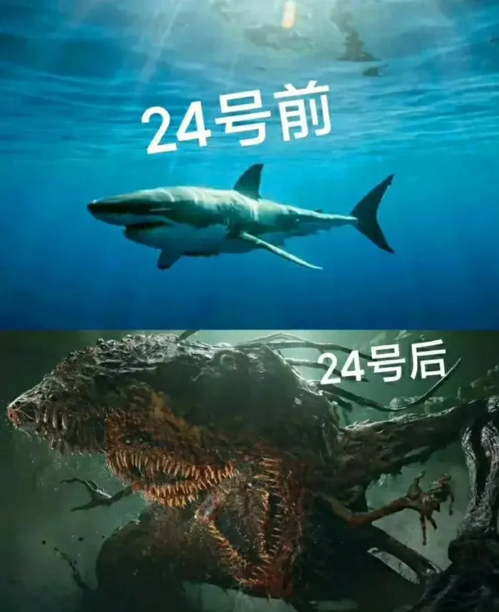 日本核污染水排海4000天后海洋啥样