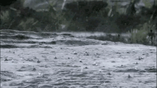 新一轮强降雨来袭