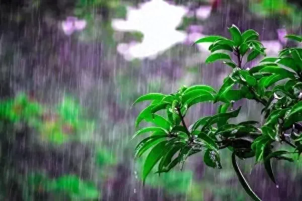 新一轮强降雨来袭