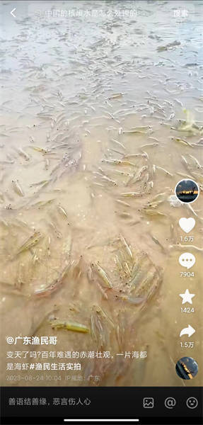 广东一海滩涌现大量海虾系谣言