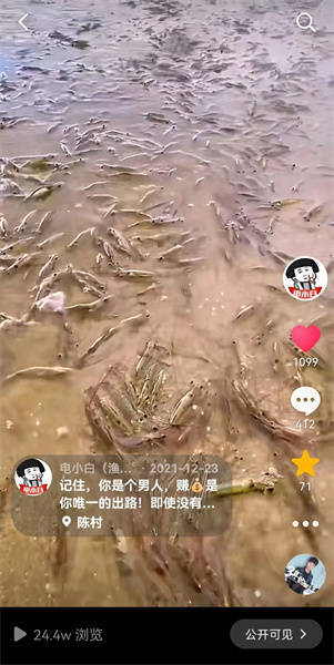 广东一海滩涌现大量海虾系谣言