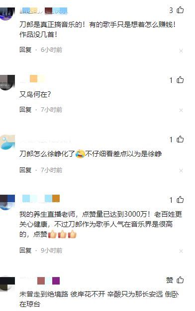 刀郎新歌翩翩讲的什么