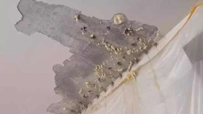 央媒调查湖南扶贫安置房质量问题