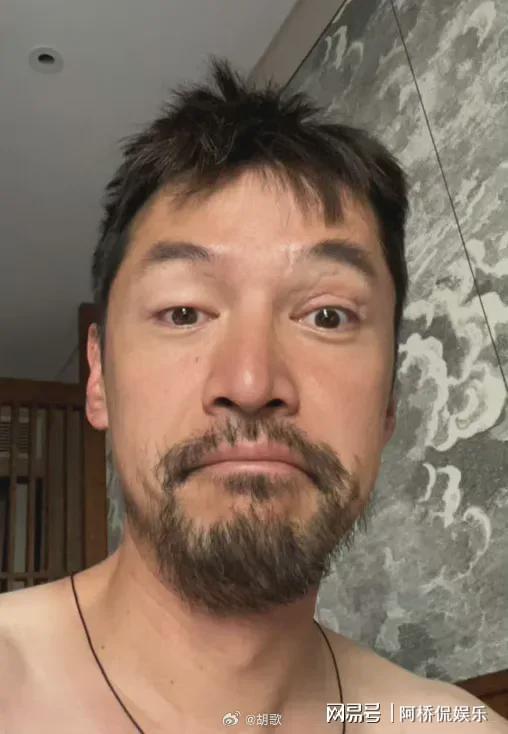 胡歌深夜发文我对不起好多人