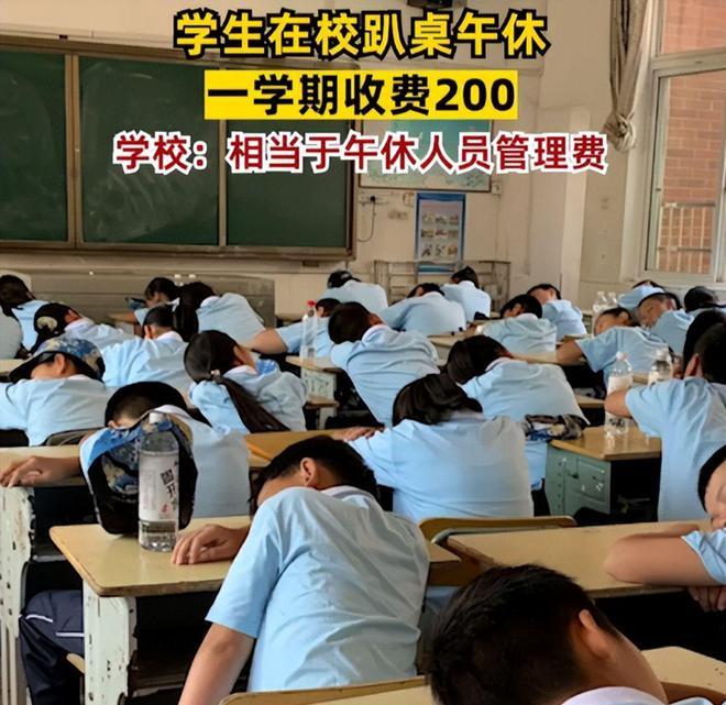 学校回应趴桌午休收费200