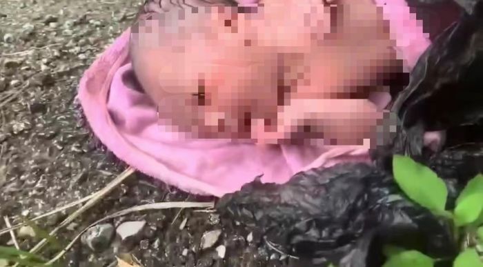 南宁一婴儿被装塑料袋遗弃草丛，医院：女婴身体健康，已送新生儿科
