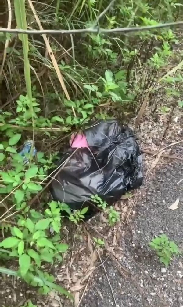 南宁一婴儿被装塑料袋遗弃草丛，医院：女婴身体健康，已送新生儿科