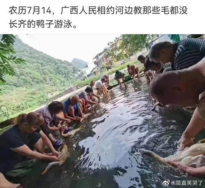 没有一只鸭能活着离开广西