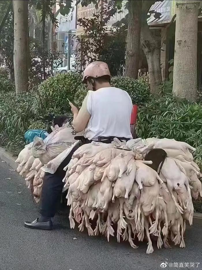 没有一只鸭能活着离开广西