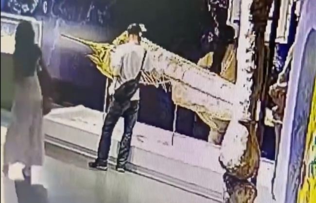 男子将博物馆内标本掰断，网友：手欠！