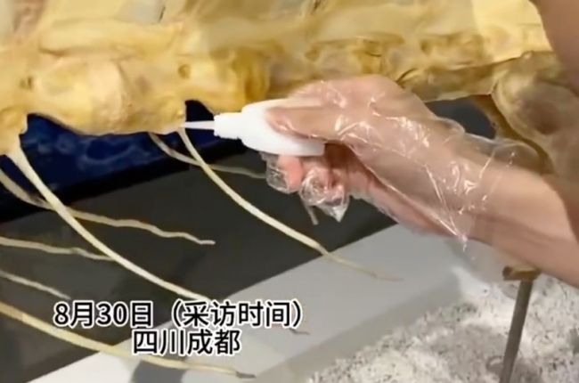 男子将博物馆内标本掰断，网友：手欠！