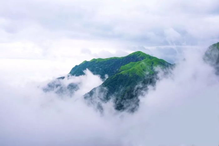 为什么一定要来一次武功山
