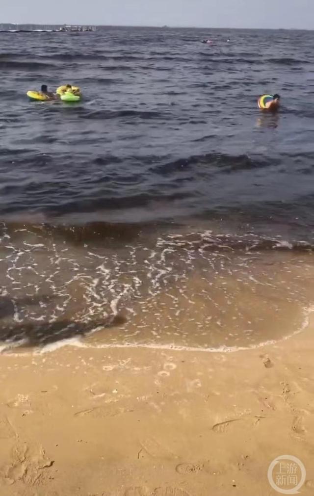 辽宁营口海水呈黑褐色藻类爆发