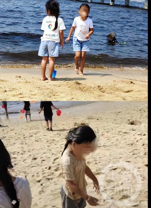 辽宁营口海水呈黑褐色藻类爆发