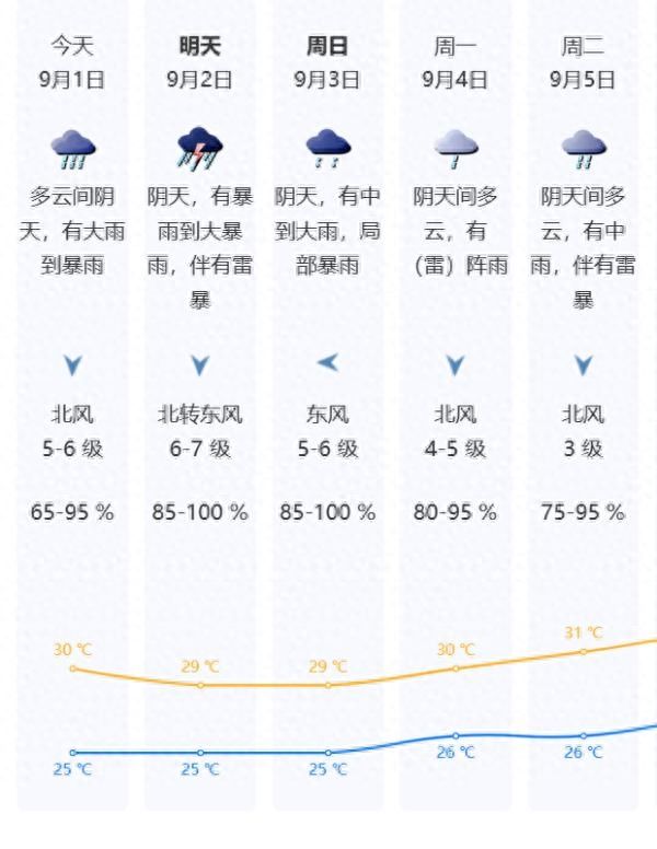 深圳10级狂风持续