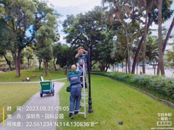 深圳10级狂风持续
