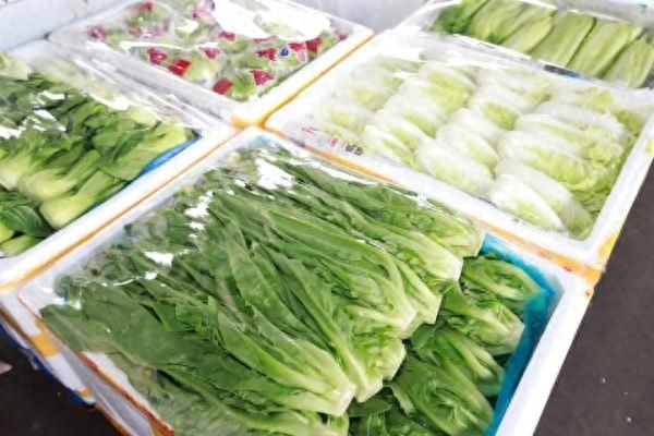 深圳10级狂风持续