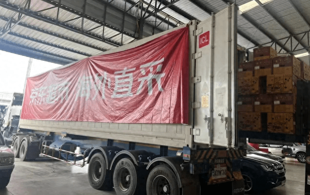 90后买走全国近半数榴莲小镇青年超城市人成消费主力

