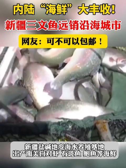 新疆“海鲜”大丰收，你敢相信！
