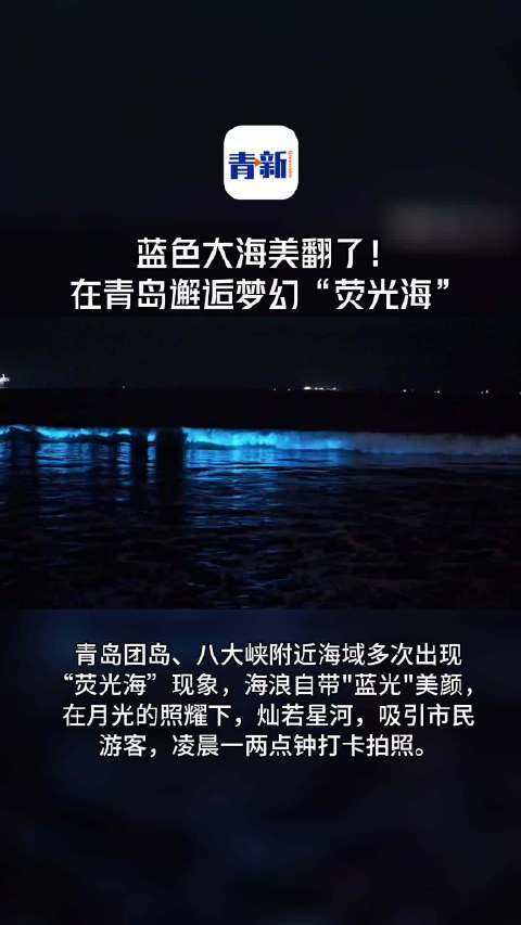 蓝色大海美翻了!青岛出现蓝眼泪荧光海你拍到了吗？