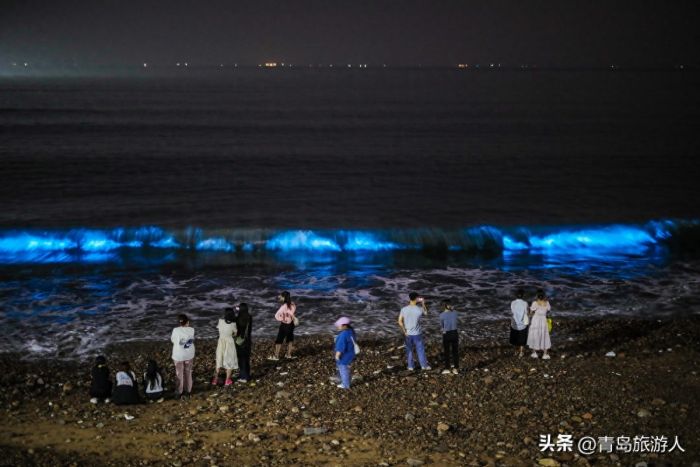 青岛现蓝色荧光海