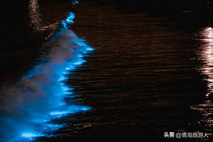 青岛现蓝色荧光海
