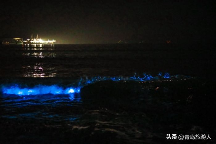 青岛现蓝色荧光海