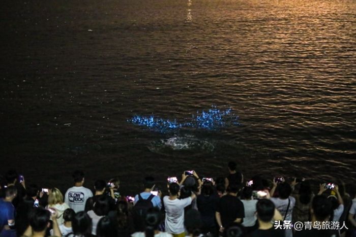 青岛现蓝色荧光海
