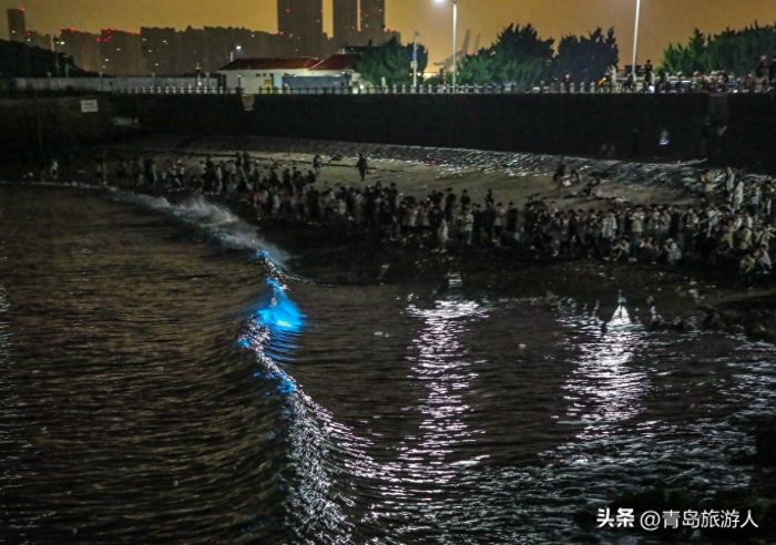 青岛现蓝色荧光海