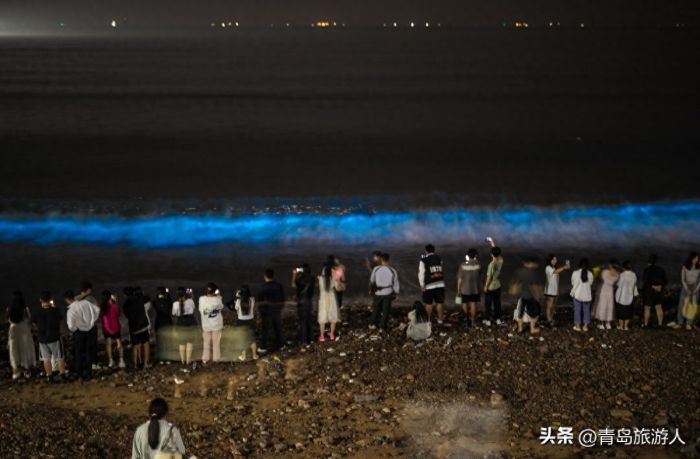 青岛现蓝色荧光海