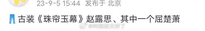 赵露思珠帘玉幕选角