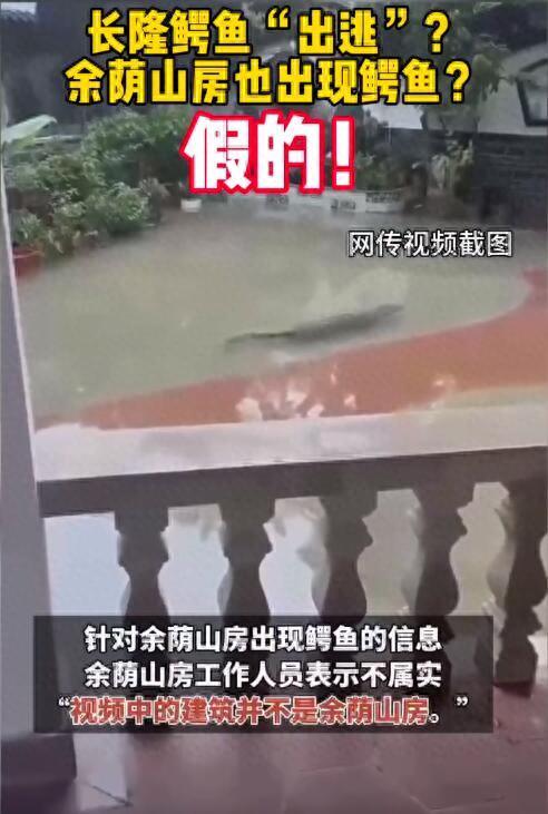 广州长隆辟谣鳄鱼出逃