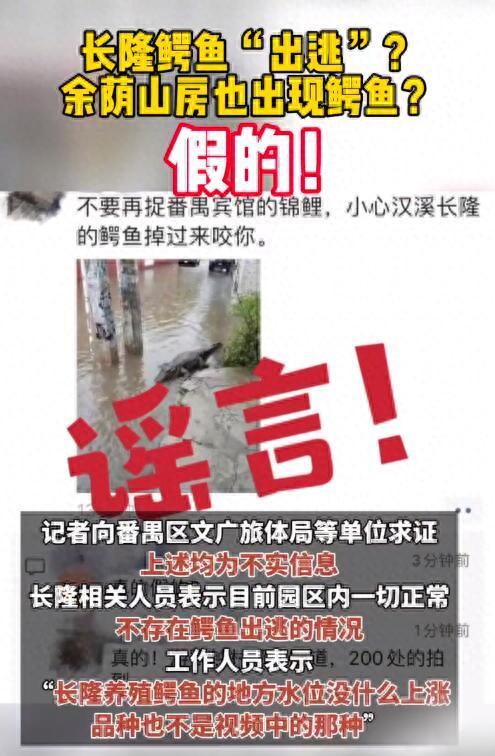 广州长隆辟谣鳄鱼出逃
