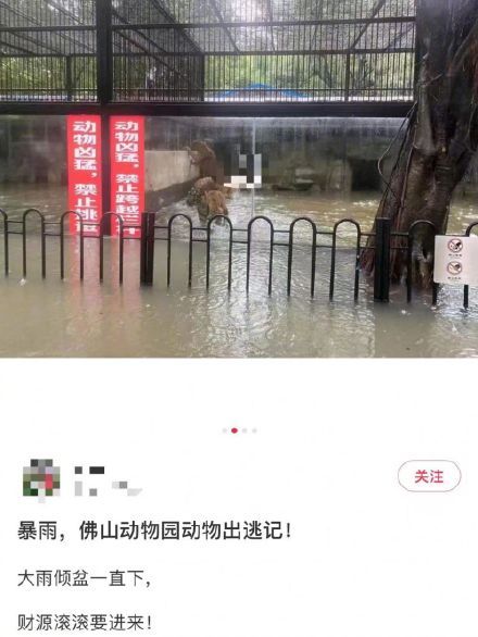 多条广东暴雨相关传言被辟谣