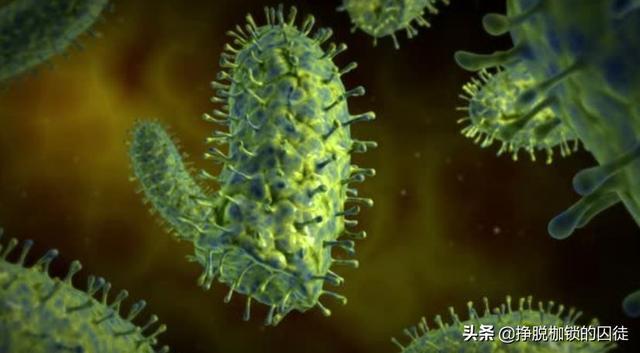 辟谣！狂犬病潜伏期真的会达几十年吗？缺乏直接证据

