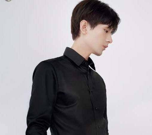 成毅南风知我意定档